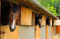 free Acton Trussell stable construction quotes